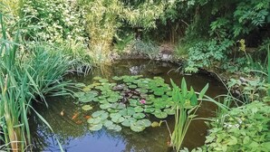 Een vijver omringd door weelderige begroeiing en verschillende planten.