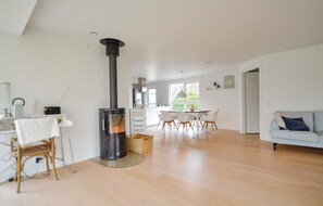 Smart TV, chimenea y reproductor de DVD 