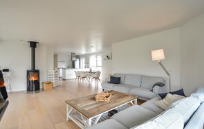 تلفزيون ذكي، مدفأة، مشغل دي في دي