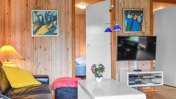 TV connectée, cheminée, lecteur de DVD