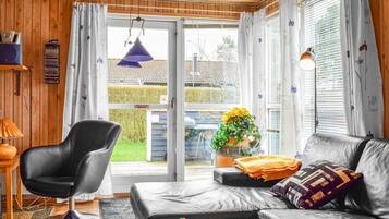 TV connectée, cheminée, lecteur de DVD