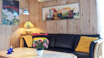 TV connectée, cheminée, lecteur de DVD