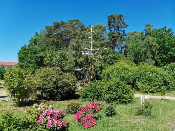 Imagen sin descripción, 1 de 13, botón