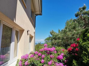 A building with large windows and a view of a garden with pink flowers and pine trees. - Dünengarten Apartment 04 - Apartment 04 Dünengarten (Kühlungsborn)