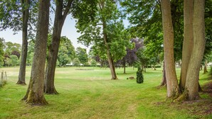 Un parc avec de grands arbres, des pelouses et un bâtiment situé au loin.
