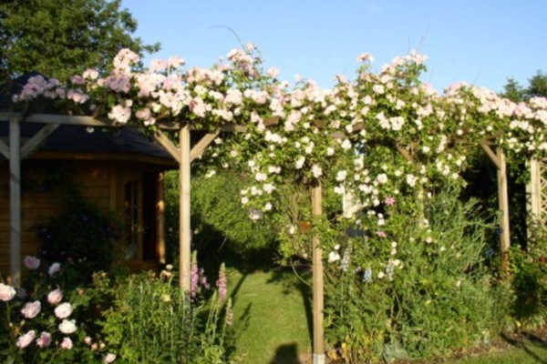 Gartenidylle im Sommer