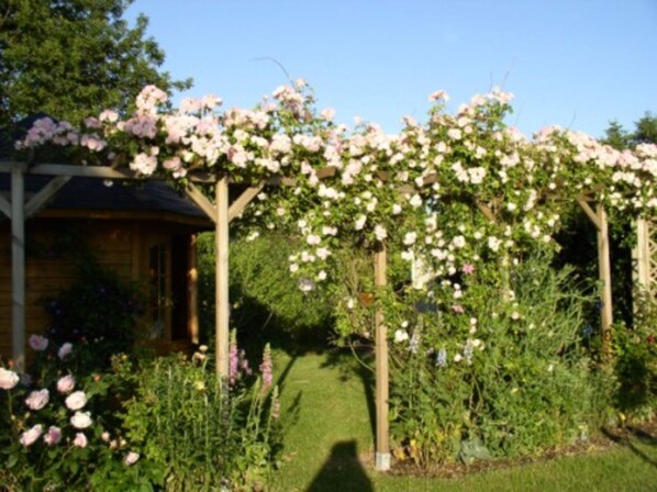 Unclassified image, 1 of 44, button - Holiday house Silke Deerberg - Holiday home Deerberg (Hasselberg)