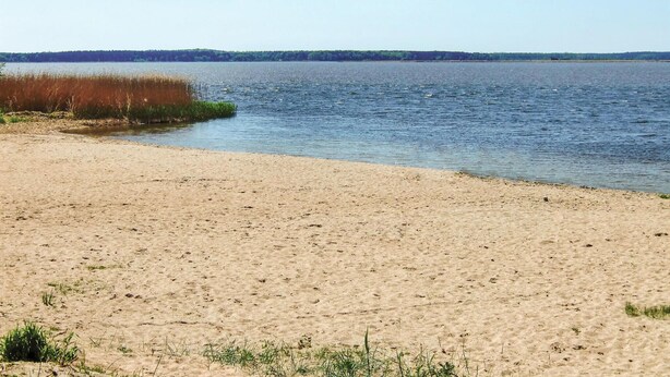 Een zandstrand met een rustig meer en verre bomen.