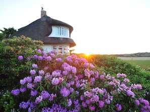 Ein Haus mit einem Reetdach und einem Erkerfenster, umgeben von üppigen violetten Blüten.