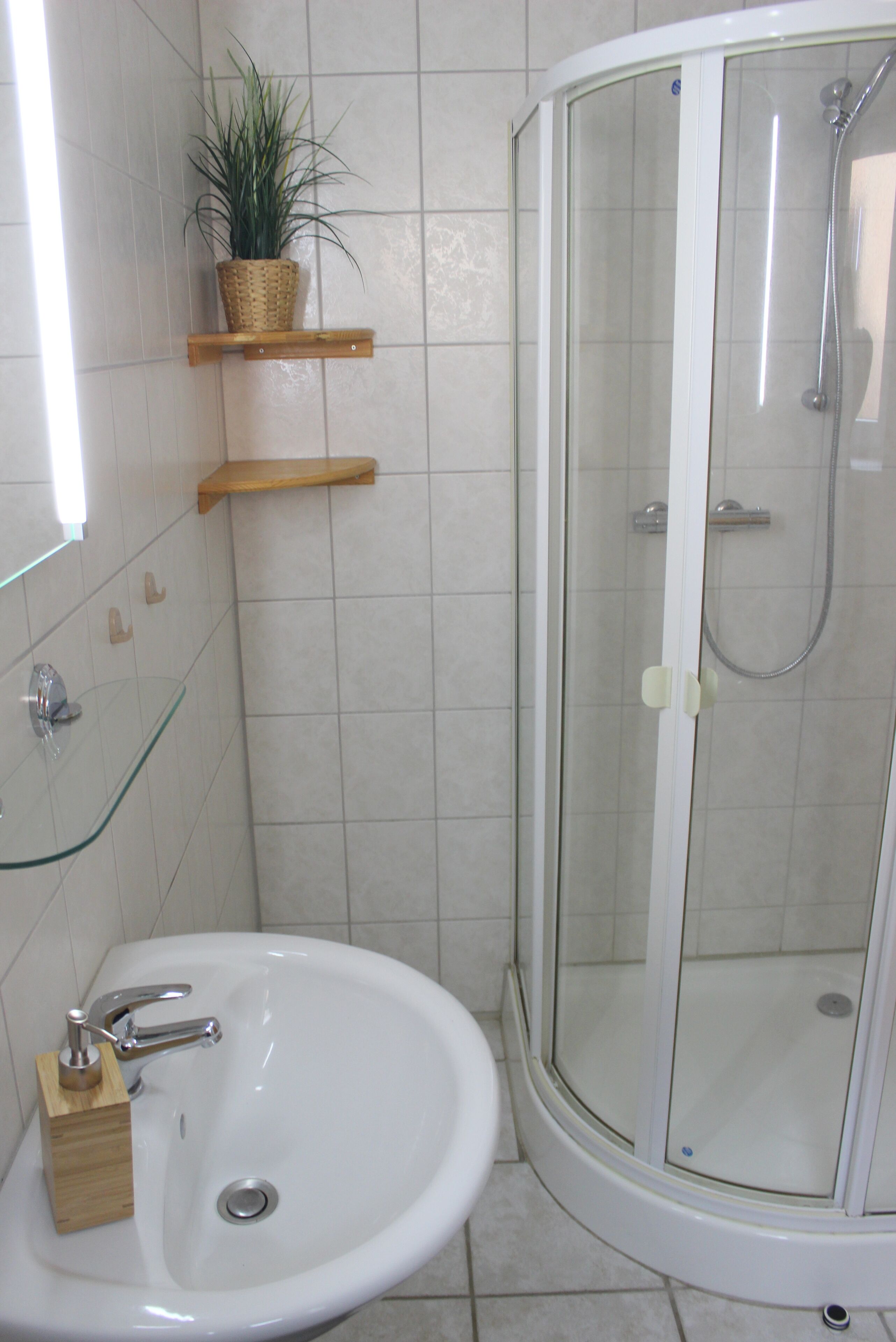 A bathroom with a glass-enclosed shower, a sink with a wooden soap holder, and a potted plant on a shelf.
