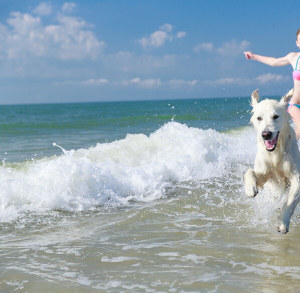 Pet-friendly - Intercontinental Family Home - North American Mediterranean Vacation Rentals (Hasselberg)