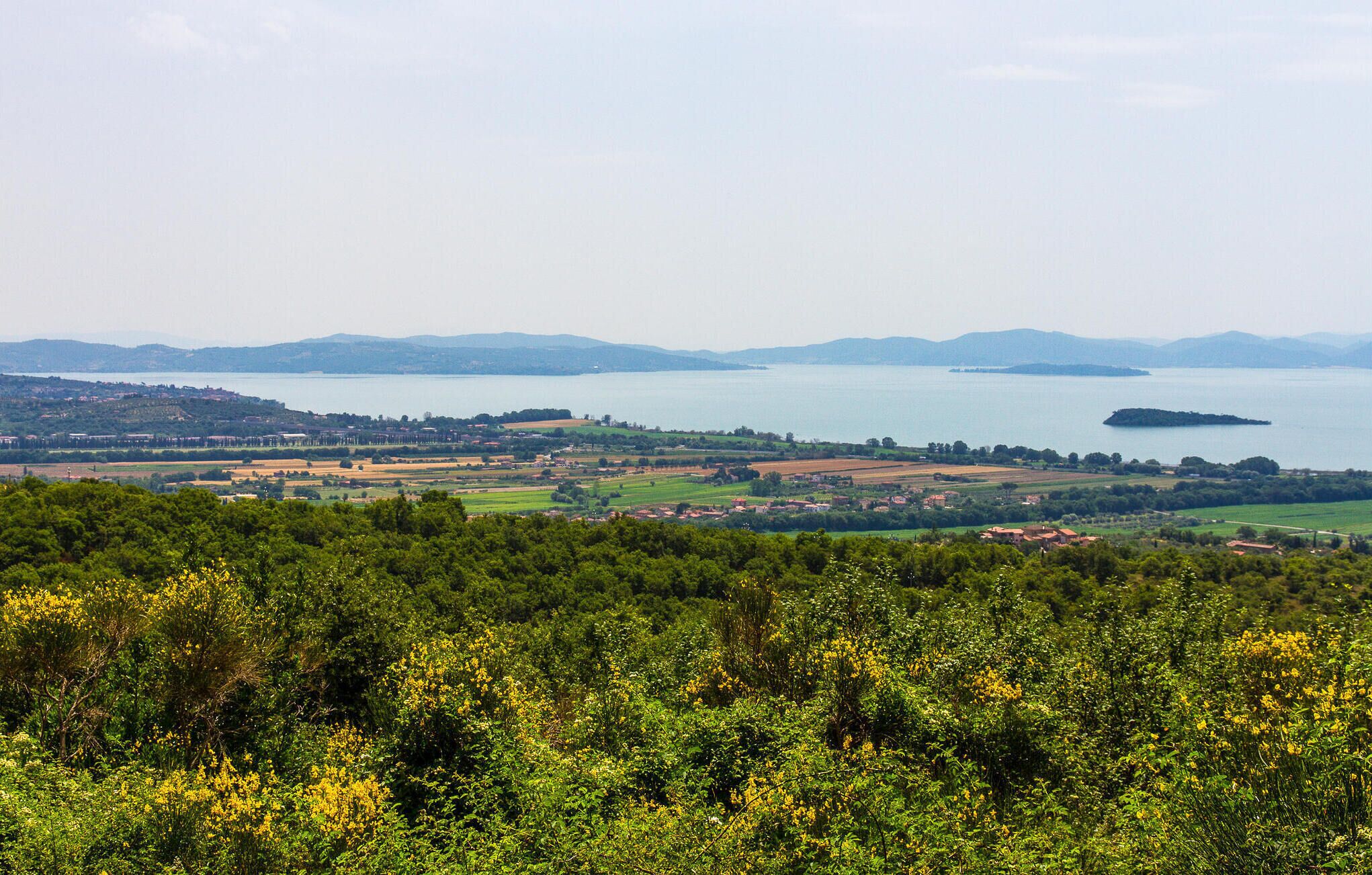A panoramic view of a coastal landscape with a body of water, hills, and a forested area in the foreground.