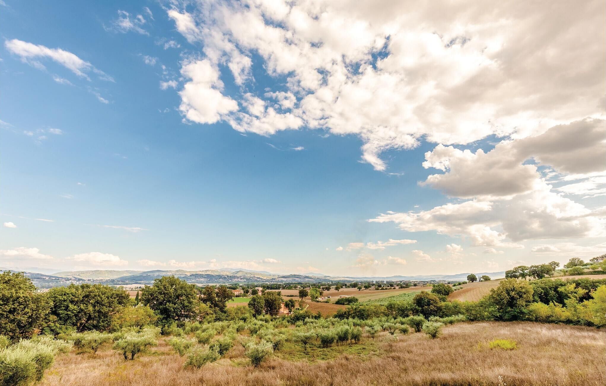 A rural landscape with rolling hills, scattered trees, and a clear sky.