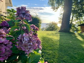 Un jardin agrémenté de fleurs d’hortensia et d’une pelouse verdoyante.