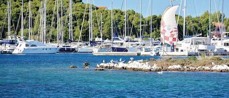 Marina
