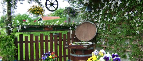 Restauration en plein air