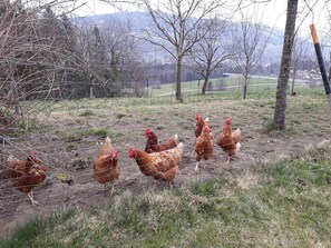 Botón de imagen sin clasificar, 4 de 27