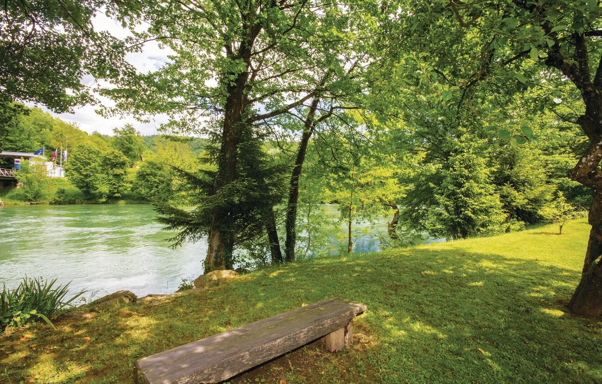 A wooden bench by a river with lush greenery and trees.