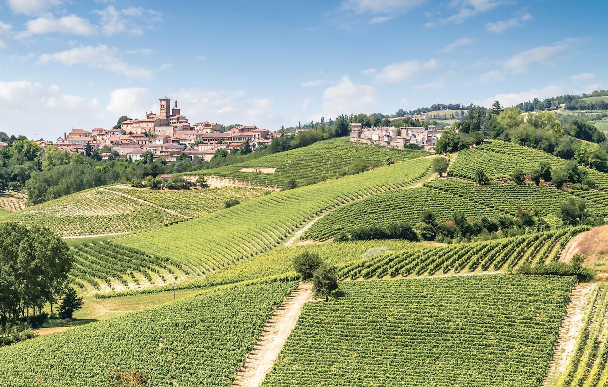 Viñedo con hileras escalonadas de vides y un pueblo histórico al fondo.