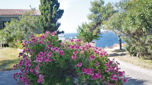 Un jardín con flores rosadas y vista al mar.