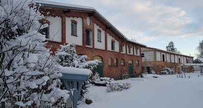 Asunto 1 - hevonen - Vapaapäivä Duckwitz Castle