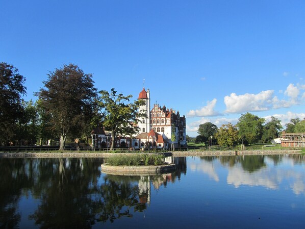 Immagine non classificata, 1 di 28, pulsante