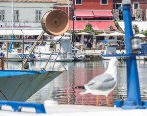 Marina/club náutico