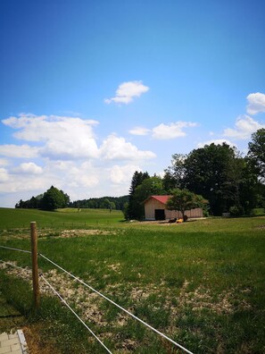 Photo non classée, 3 sur 24, bouton