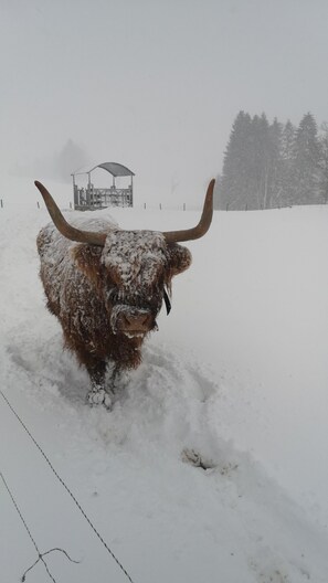 Photo non classée, 4 sur 24, bouton