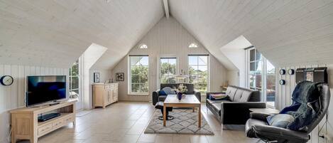 Tv, pejs, dvd-afspiller