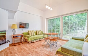 تلفزيون، مدفأة