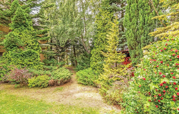 Un sendero en un jardín rodeado de abundante vegetación y una estructura roja.