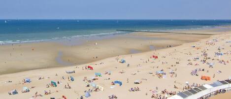 Ubicación cercana a la playa y pesca