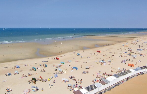 بالقرب من الشاطئ، صيد الأسماك