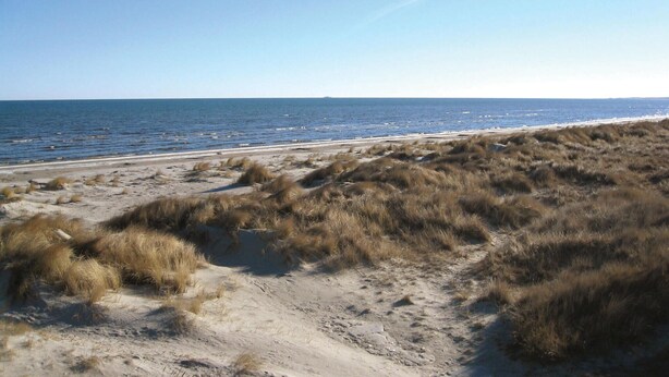 En strand med sanddyner och fri utsikt över havet.