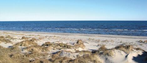 Playa en los alrededores