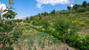 A garden with various plants and a yellow boat in the background. - Beautiful home in Kastel Sucurac (Kastel Sucurac)
