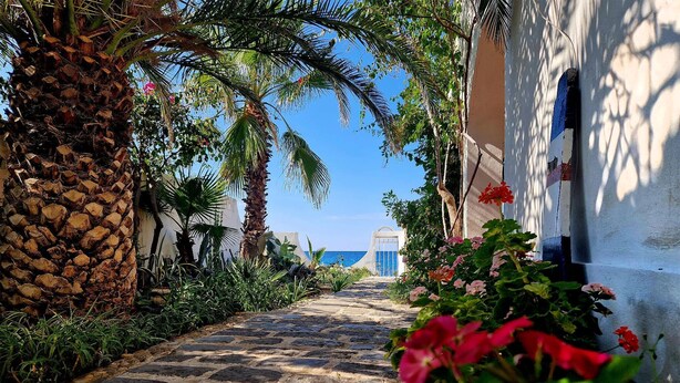 A cobblestone pathway leading to a building with a view of the sea. - 3 bedroom beautiful home in Scilla (RC) (Scilla (RC))