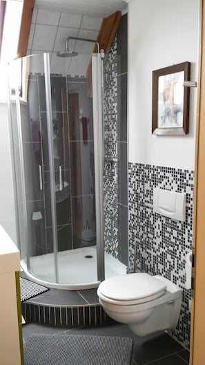 Dusche, Haartrockner, Handtücher