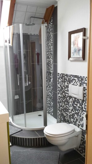 Shower, hair dryer, towels