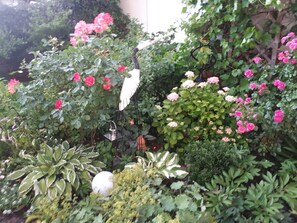 Image sans description, 3 de 12, bouton