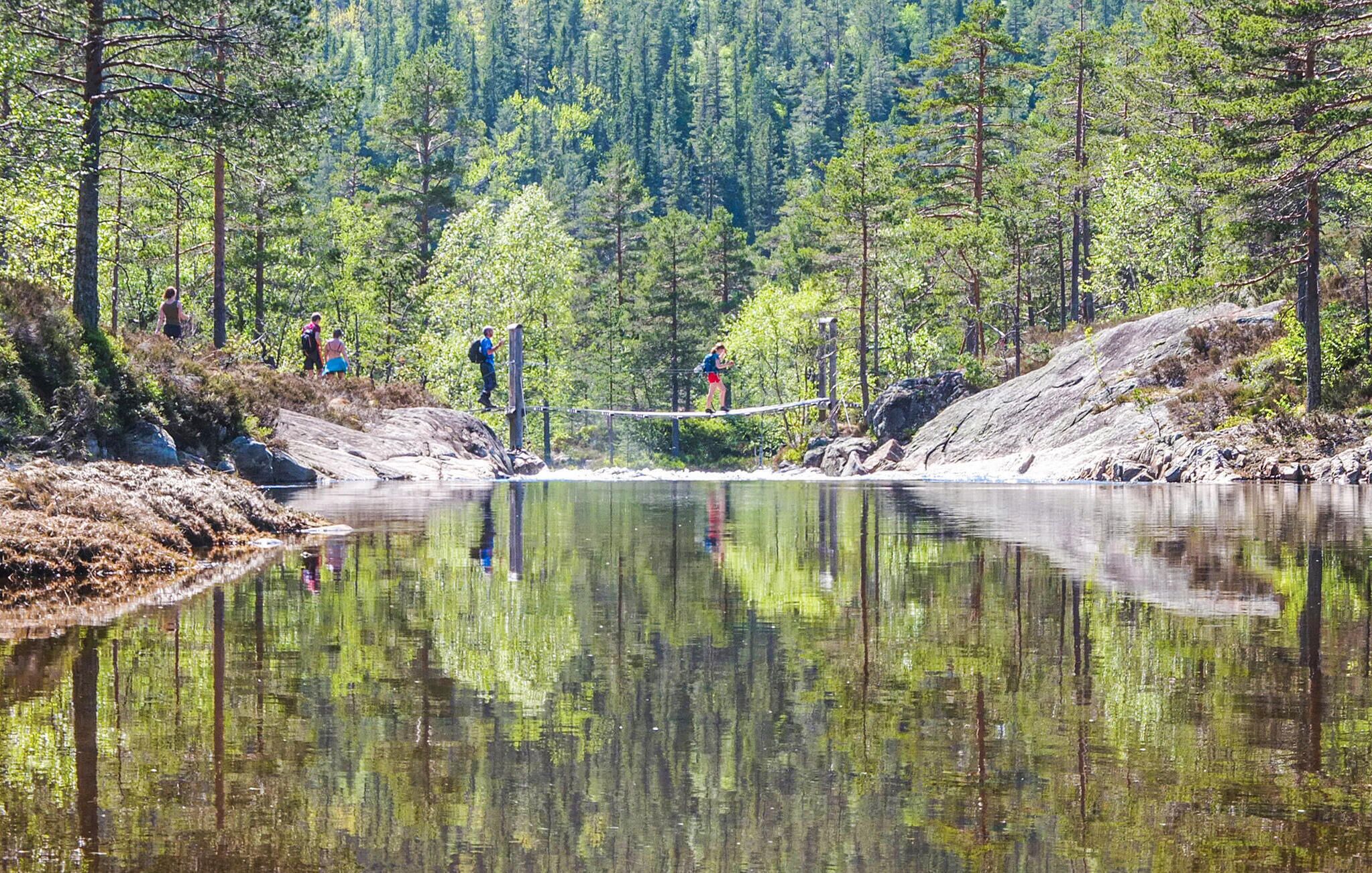 Eine natürliche Landschaft mit einer Brücke über ruhigem Gewässer, umgeben von dichtem Wald.
