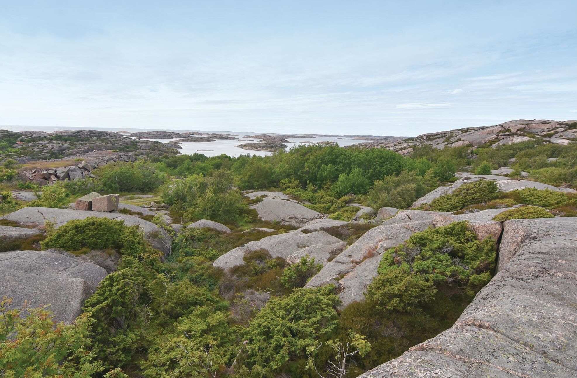 Eine felsige Landschaft mit dichtem Grün und weiter Wasserfläche im Hintergrund.