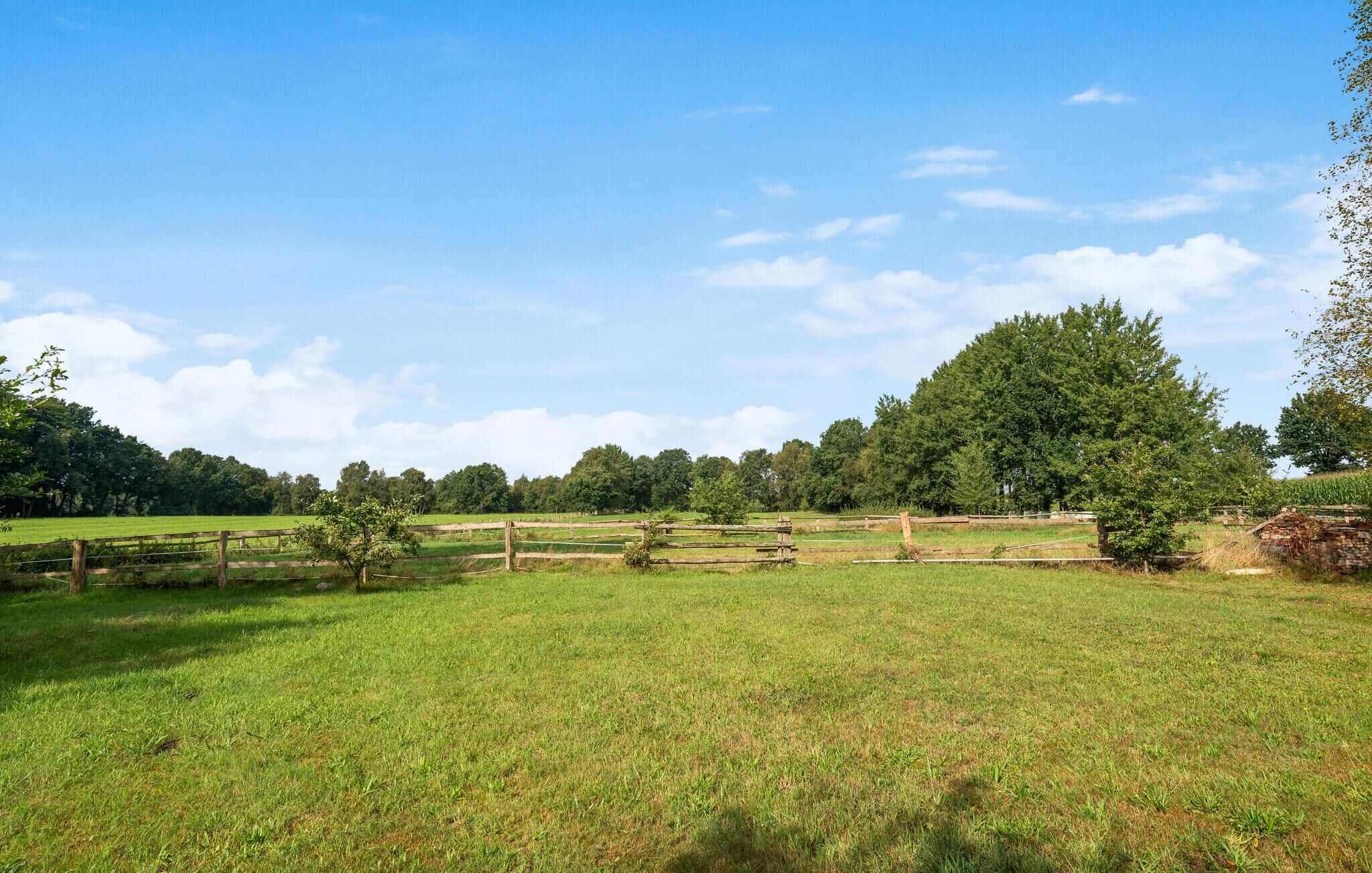 Ein grünes Feld mit einem Holzzaun und Bäumen im Hintergrund.