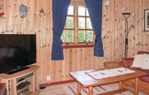 TV, fireplace, DVD player