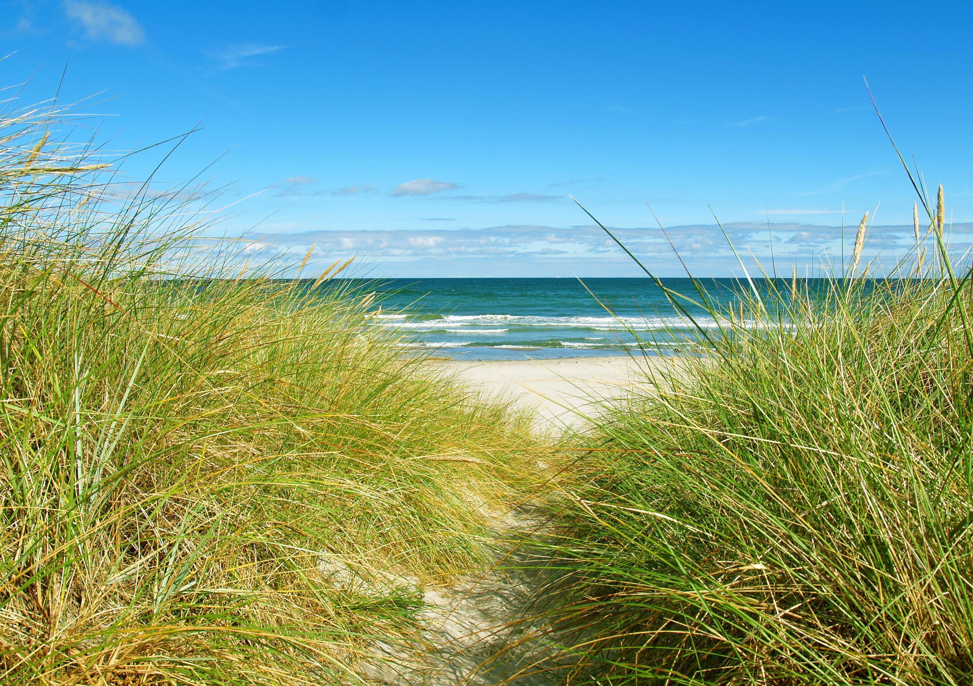 Una spiaggia nelle vicinanze