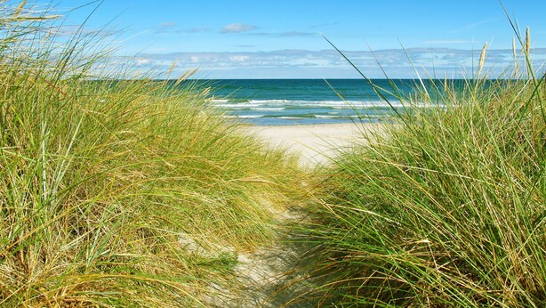 A beach path leading to the ocean with tall grass in the foreground. - FH Lena to the beach only a few minutes walk ca.200 m quiet - FH Lena to the beach only (Glowe)