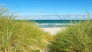 Una spiaggia nelle vicinanze