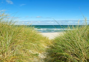 A beach path leading to the ocean with tall grass in the foreground.