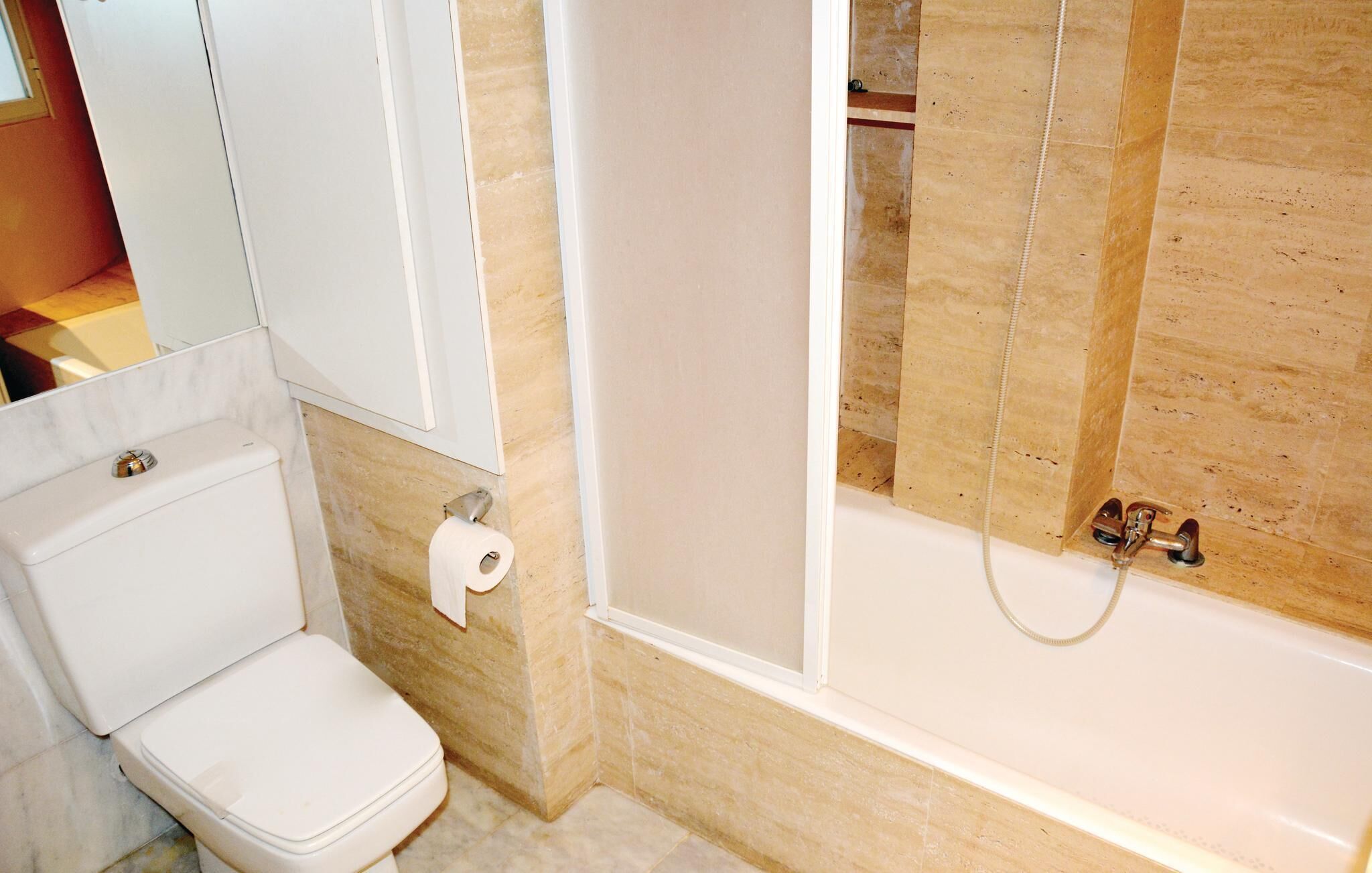 A bathroom with a toilet, a roll of toilet paper, a shower with a handheld showerhead, and a bathtub.